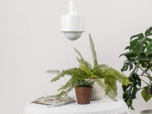 Miniaturka 2 - Biała lampa ENKEL 1 w aranżacji nad stolikiem z roślinami