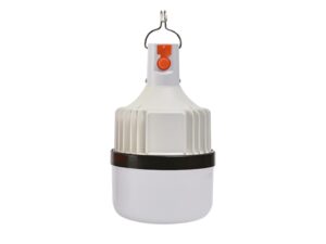 Miniaturka 5 - Przenośna lampka LED 10 W 4000 K – pojedyncza lampka z zestawu pięciu sztuk