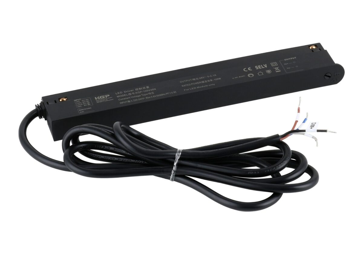 Zasilacz wpinany w szynę Magnetic Easy 100 W 48 V