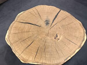 Miniaturka 6 - ROTONDA – widok dodatkowy