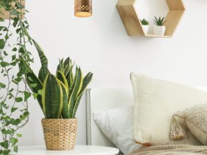 Miniaturka 6 - Lampa wisząca Oretia jasny wzór drewna 10 cm w aranżacji