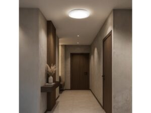 Miniaturka 4 - Plafon sufitowy Astimona LED w przedpokoju
