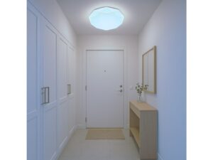 Miniaturka 7 - Plafon LED Valaneta w białym przedpokoju z szafą