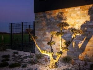 Miniaturka 3 - Reflektor Syna Garden oświetlający drzewo przy elewacji
