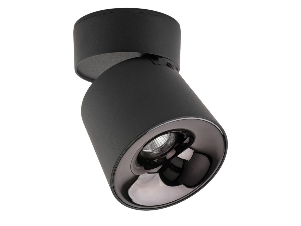 Spot sufitowy Kyoto CCT LED 18 W regulowany