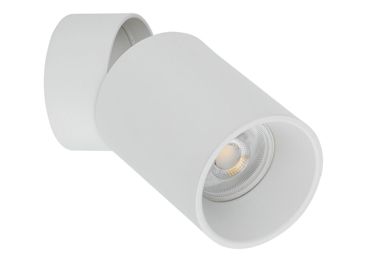 Spot sufitowy Top Downlight biały 1-punktowy GU10