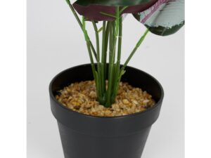 Miniaturka 2 - Kalatea sztuczna 45 cm w doniczce – dodatkowe ujęcie