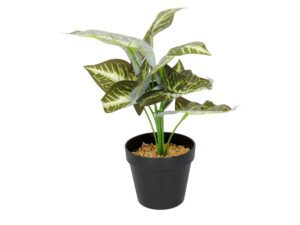Miniaturka 3 - Sztuczna maranta zielona 35 cm w czarnej doniczce na białym tle