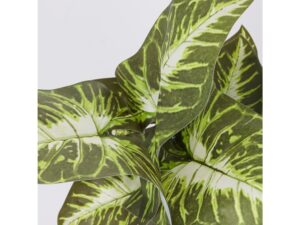 Miniaturka 1 - Sztuczna maranta zielona 35 cm – zbliżenie jasnych wzorów na liściach