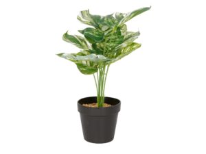 Miniaturka 3 - Sztuczna monstera w doniczce 34 cm