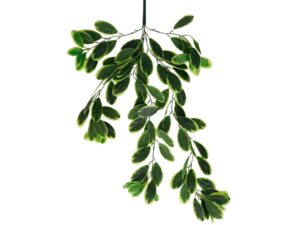 Miniaturka 3 - Sztuczna roślina wisząca eukaliptus 70 cm zielone liście na białym tle