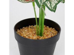 Miniaturka 2 - Sztuczne kaladium – zielone łodygi i czarna doniczka z ozdobnymi kamykami
