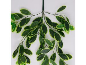 Miniaturka 1 - Sztuczny eukaliptus wiszący 70 cm – zbliżenie zielonych liści