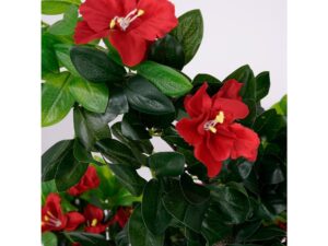 Miniaturka 1 - Czerwone kwiaty sztucznego hibiskusa na tle zielonego ulistnienia – detal