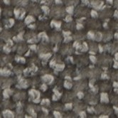 AURORA 6