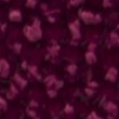 AURORA 9