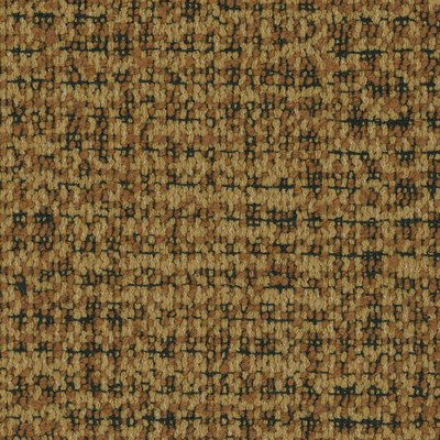 COCO 53B