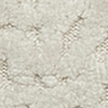 JAGUAR 3
