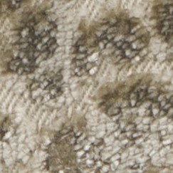 LUISIANO 11