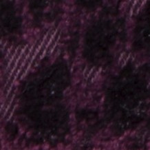 LUISIANO 14