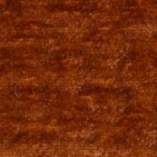 SHERRY 12